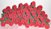 Rosas em EVA